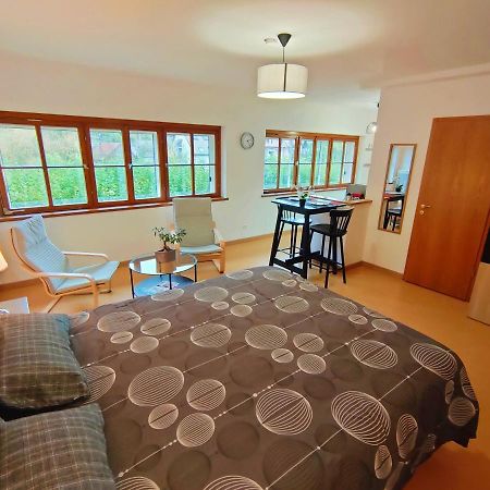 Lumineux Appartement Free Parking Nature Ville Tt Equipe Thann Ngoại thất bức ảnh