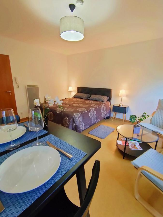 Lumineux Appartement Free Parking Nature Ville Tt Equipe Thann Ngoại thất bức ảnh